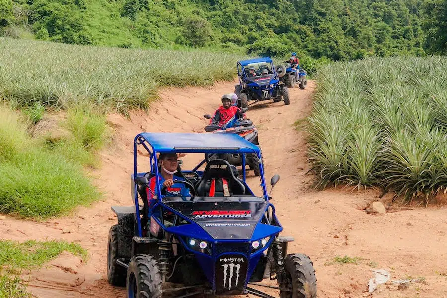 buggys in the jungly of Pattaya